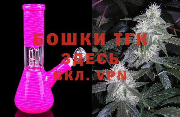 дживик Арсеньев