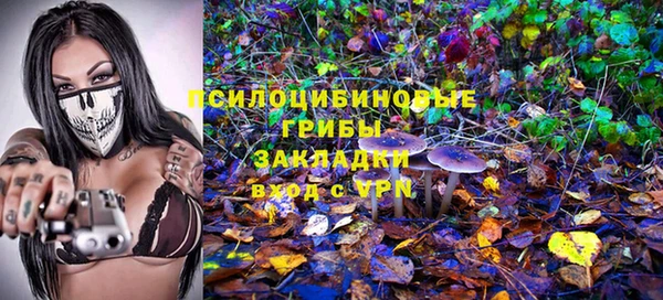 ECSTASY Аркадак