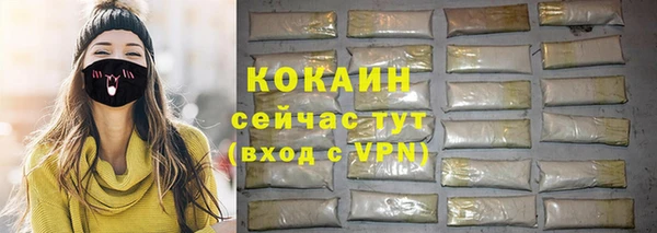 дживик Арсеньев